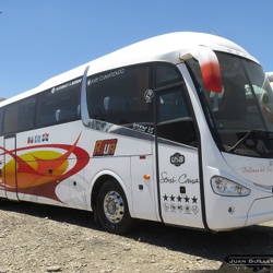 ► Buses Nuevos