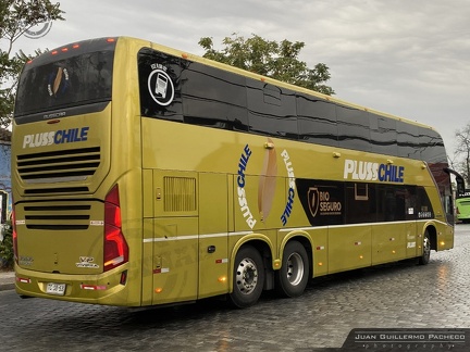 » Pluss Chile (Salon Cama) (Chile) | TCSB53