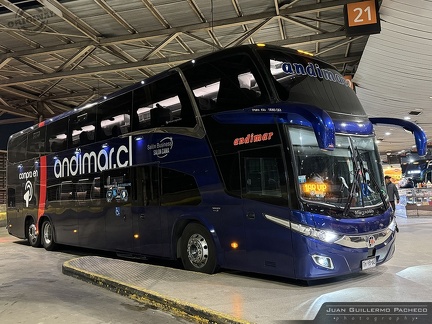 » Nueva Andimar Vip (Chile) | N° 421