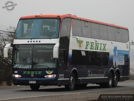 » Fenix Internacional LTDA (Semi Cama) (Chile) | N° 660