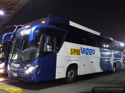 » Viggo (Salon Semi Cama) (Chile) | N° 4383