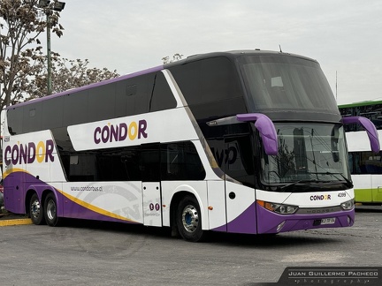 » Condor Bus (Salon Cama) (Chile) | N° 4399