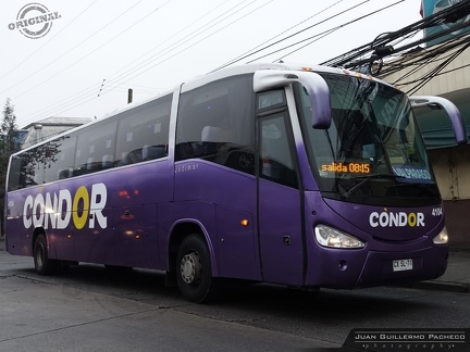 » Condor Bus (Clasico) (Chile) | N° 4104