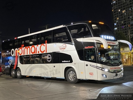 » Nueva Andimar Vip (Salon Cama) (Chile) | N° 1023