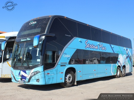 » Serena Mar (Salon Cama) (Chile) | Unidad de Stock