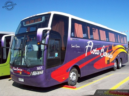 » Flota Barrios (Semi Cama) (Chile) | N° 307