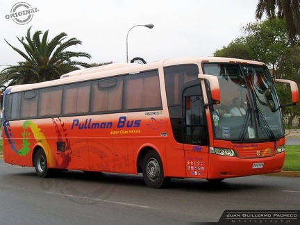 » Pullman Bus (Semi Cama) (Chile) | N° 1388
