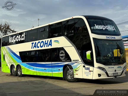 » TACOHA (Chile) (Salon Cama) | N° 186