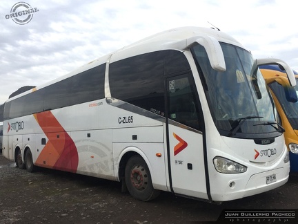 » SRT Cielo (Chile) (Semi Cama) | FFZL65