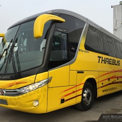 ► Thaebus (Chile)