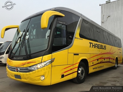 » Thaebus (Chile) (Semi Cama) | HYZC32