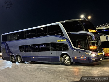 » Bus Norte (Chile) (Salon Cama) | N° 228