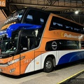 » Pullman Bus (Chile) (Semi Cama) | N° 3417