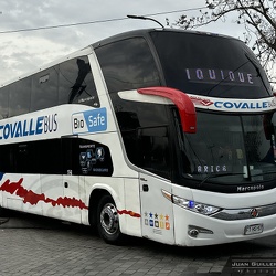 ► Nueva Covalle Bus (Chile)