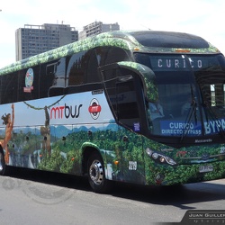 ► MT Bus (Chile)