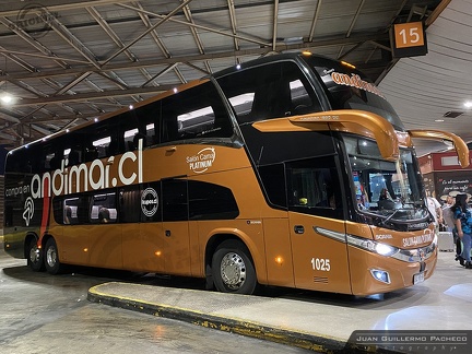 » Nueva Andimar Vip (Chile) (Salon Cama) | N° 1025