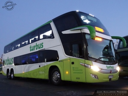 » turbus (Chile) (Cama Premium) | N° 2697