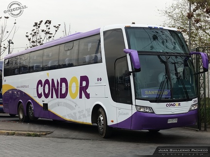 » Condor Bus (Chile) (Semi Cama) | N° 309