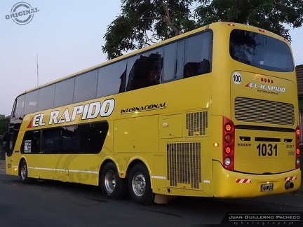 » El Rapido Internacional (Argentina) | N° 1031