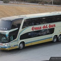 » Cruz del Sur (Chile) (Salon Cama) | N° 793