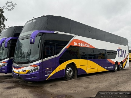 » Buses TJM (Chile) (Salon Cama) | Unidad de Stock