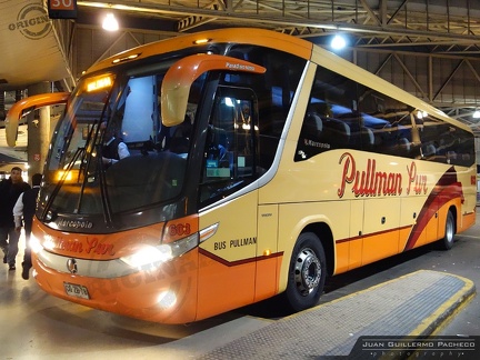 » Pullman Sur (Chile) (Bus Pullman) | N° 603