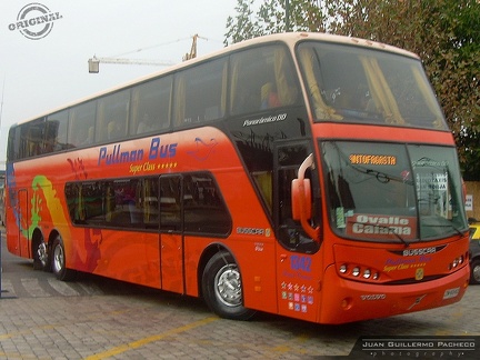 » Pullman Bus (Chile) (Semi Cama) | N° 1342