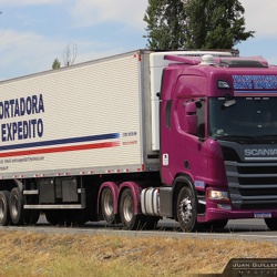 ► Transportadora Santo Expedito (Brasil)