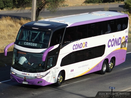 » Condor Bus (Semi Cama Superior) (Chile) | N° 3015