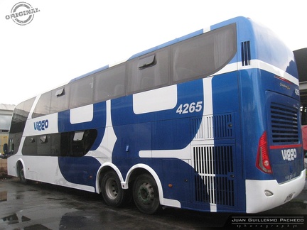 » Viggo (Salon Cama) (Chile) | N° 4265