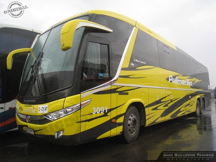 » Pullman Bus Division Industrial - TANDEM (Semi Cama) (Chile) | N° 3091