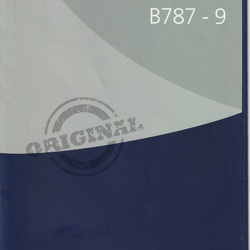 ► LAN Airlines (Chile)