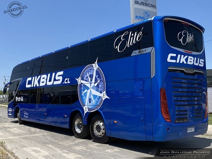 » CIKBUS Elité (Salon Cama) (Chile) | SWHG77