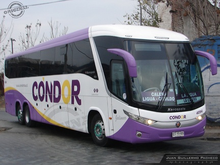 » Condor Bus (Semi Cama) (Chile) | N° 4094