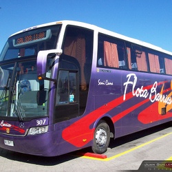 ► Ricardo Labra M ®