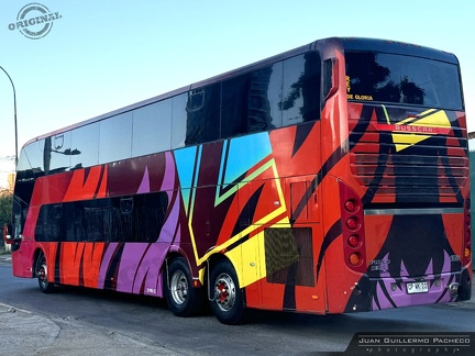 » Pullman Setter (Semi Cama) (Chile) | CPWK22