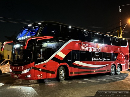 » Buses Ivergrama (Salon Cama) | N° 113
