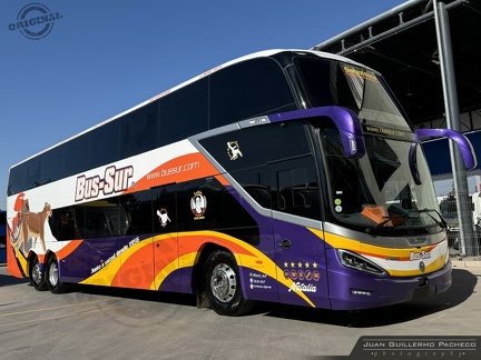 » Bus Sur (Chile) (Salon Mixto) | Natalia
