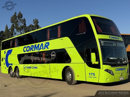 » Cormar Bus (Semi Cama) | N° 175