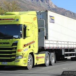 ► Camiones / Trucks