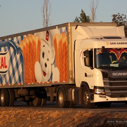 ► Transportes San Gabriel (Chile)