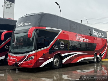» Buses Ivergrama (Chile) (Salon Cama) | TTLX79