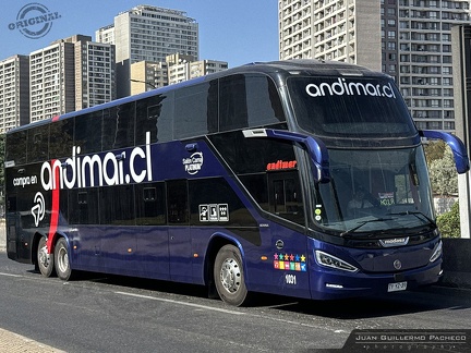 » Nueva Andimar Vip (Chile) (Salon Cama) | N° 1031