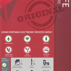 ► Delta Airlines (United States)