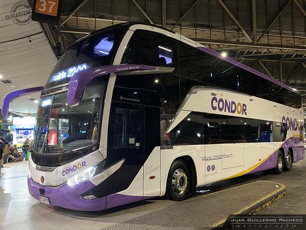 » Condor Bus (Chile) (Semi Cama Superior) | N° 3117