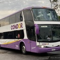 » Condor Bus (Chile) (Semi Cama Superior) | N° 2205