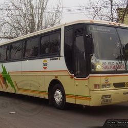 ► Scania K113