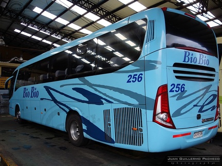 » Buses Bio Bio (Chile) | N° 256
